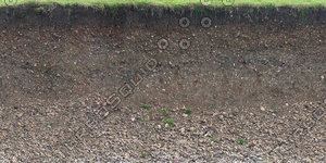 riverbank texture 1.jpg