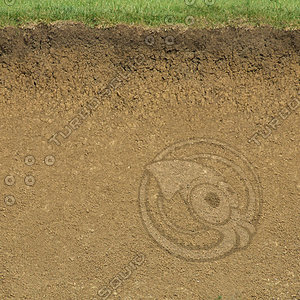 riverbank texture 5.jpg