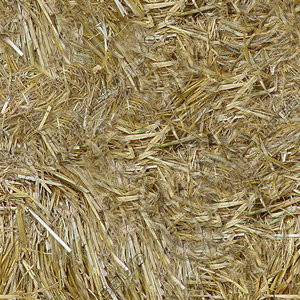 Tileable Straw/Hay texture