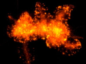 sun explosion.avi