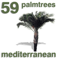 Cut Out - 59 Palm Trees