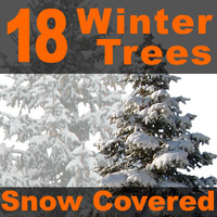 18 Snow Covered Winter Trees