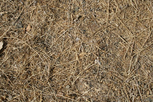 ground texture