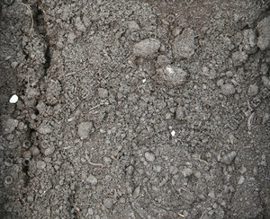ground texture