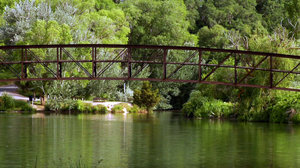 Bridge