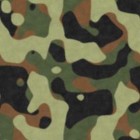 Camo_2.jpg