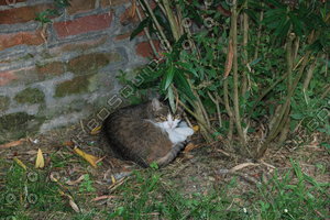 DSC_0010.JPG