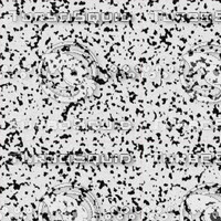 Dalmatian Fur Textures