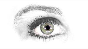 Eye