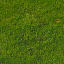 Texture Windows Bitmap Grass