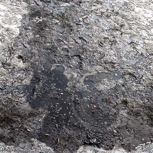 Ground_06
