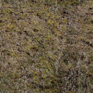 Ground_07