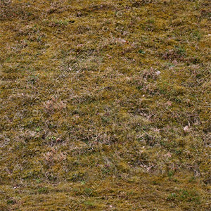 Ground_08