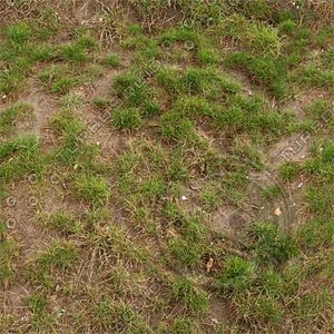 Ground_grass_11