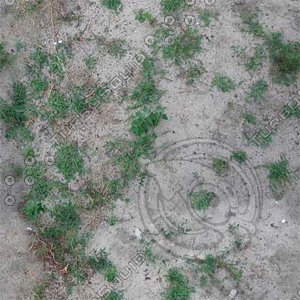 Ground_grass_12