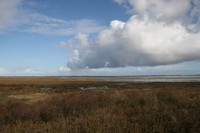 wadden sea 01