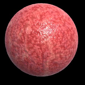 Inner Stomach.mat