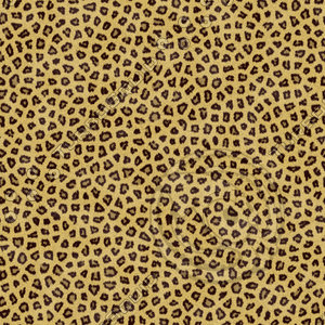 Leopard Fur Textures