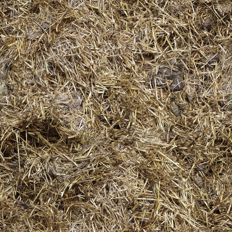 Texture JPEG manure seamlessly tileable