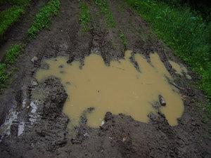 5 muddy ground & puddle photos