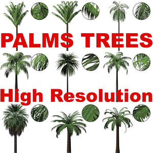 Cut-out Palms High Resolution
