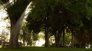 Park