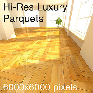 Parquet Wood Oak Collection High Quality