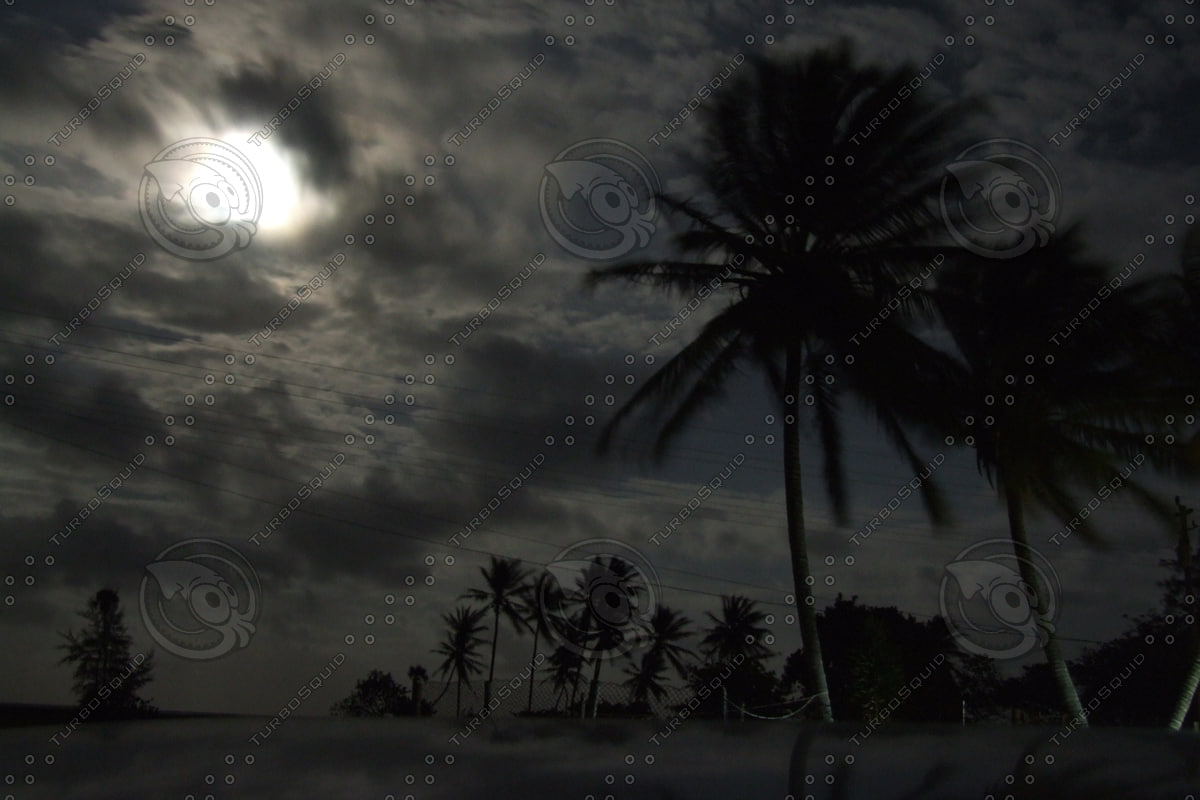  https://static.turbosquid.com/Preview/2014/08/01__17_13_45/Picture+417.jpgd30d1517-fdc7-4eb1-a70b-6b7ae2c9d67fOriginal.jpg