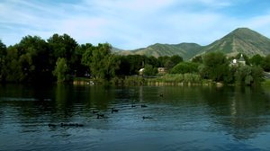 Pond