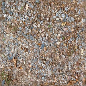 Rocks and Crumbled Leaves