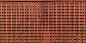 Roof_05