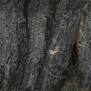 Rock_37