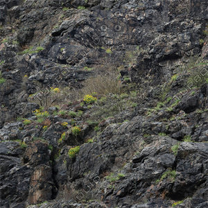 Rock_50