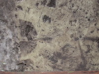 Scratched wall.jpg