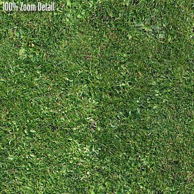 Texture JPEG Grass lawn 3drender