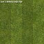 Texture JPEG Grass lawn 3drender