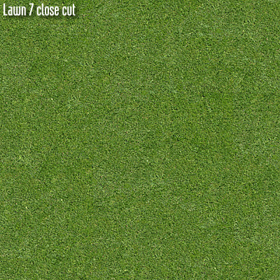 Texture JPEG Grass lawn 3drender