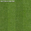 Texture JPEG Grass lawn 3drender