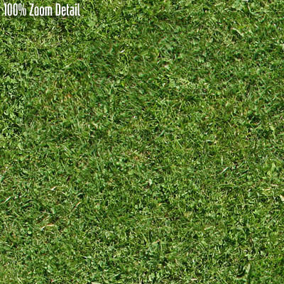 Texture JPEG Grass lawn 3drender