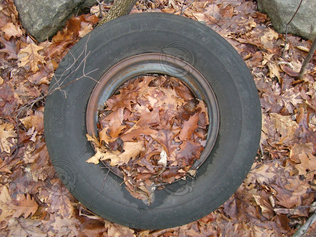 Texture JPEG Tire Leaves Wheel