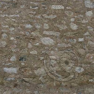 Wall_61