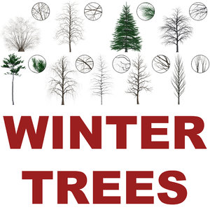 Cut-out Winter trees