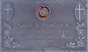 Ground plaque texture