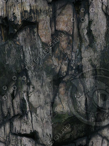 cliff texture 36.jpg