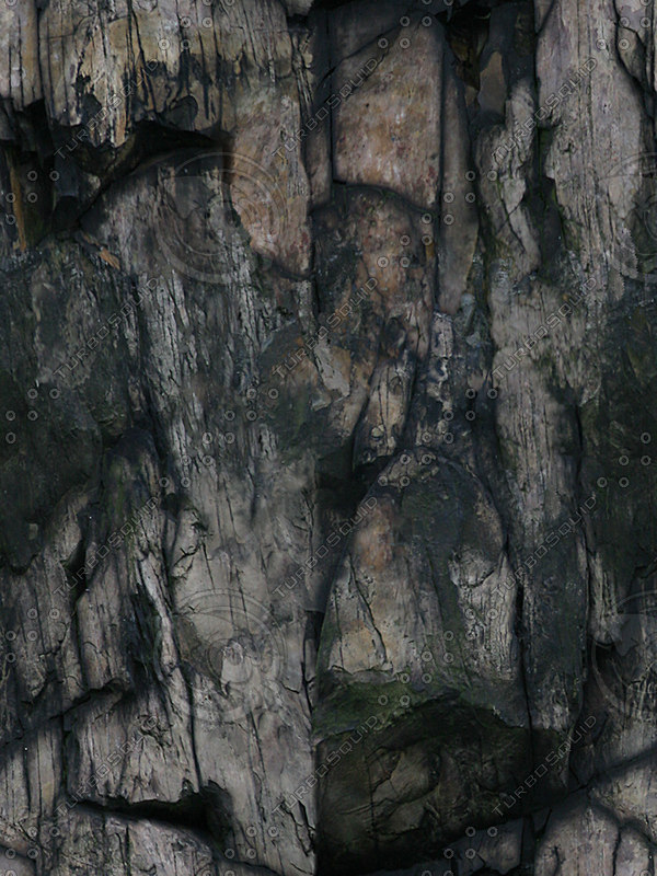  https://static.turbosquid.com/Preview/2014/08/01__17_13_45/cliff+texture+36.jpgcc0daeab-bb78-4e21-8e91-fcb6e7469be9Original.jpg