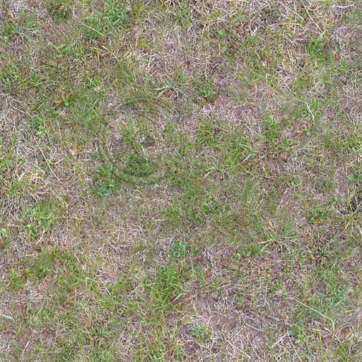 Texture JPEG grass ground