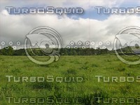 Irish landscape