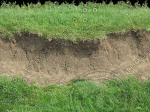 riverbank texture 2.jpg