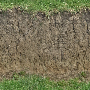riverbank texture 4.jpg