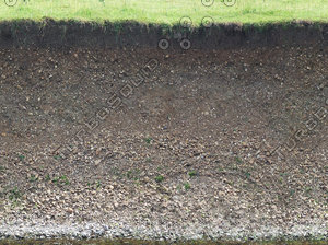 riverbank texture 7.jpg